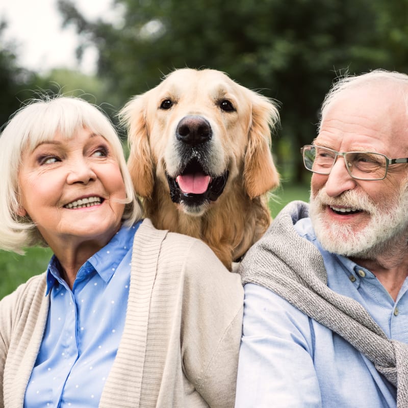 Five Oaks Animal Hospital in Kinston