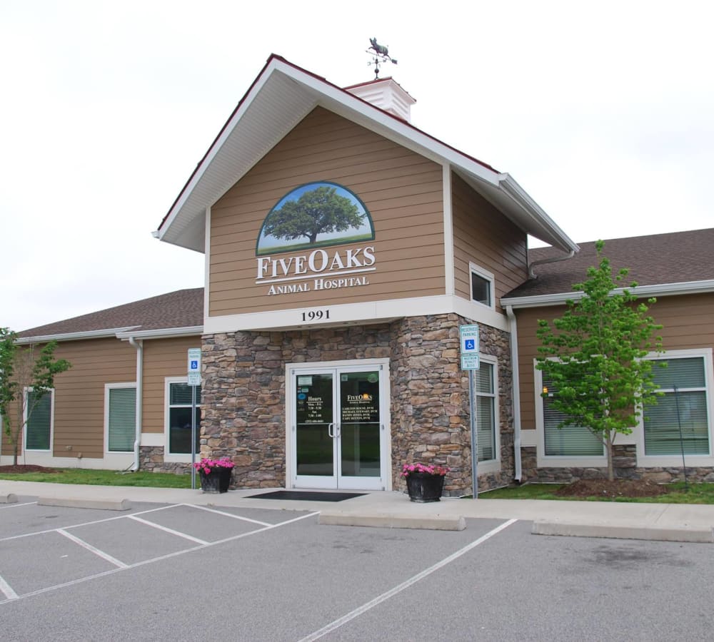 Five Oaks Animal Hospital | Your Vets in Kinston, NC